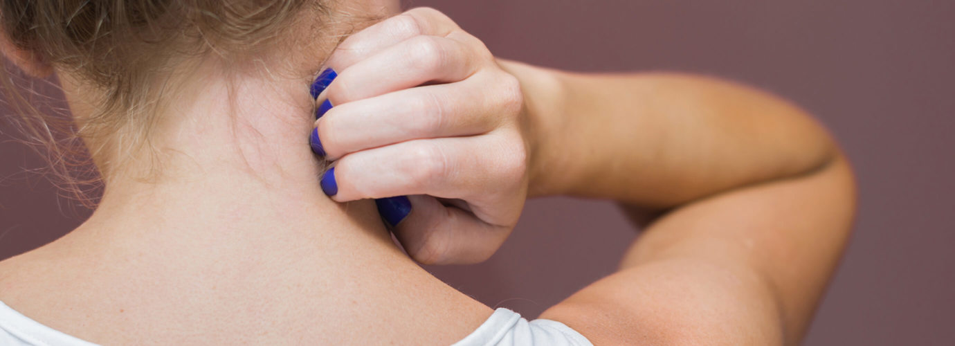 Tipps gegen Wespen im Sommer – und was du tust, wenn sie dich erwischen