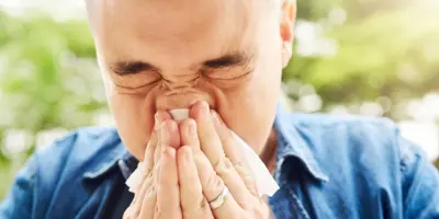 was tun gegen pollen in der wohnung