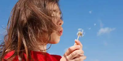 Rinite Allergica Rimedi Della Nonna