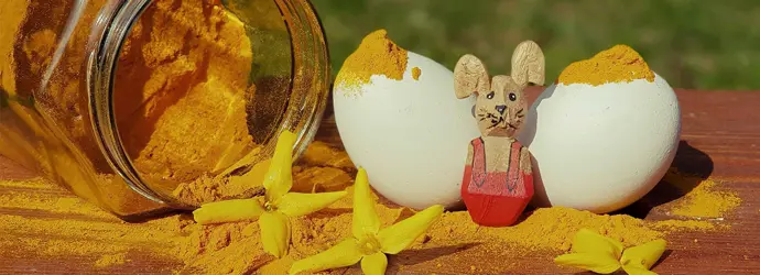 eier färben mit kurkuma