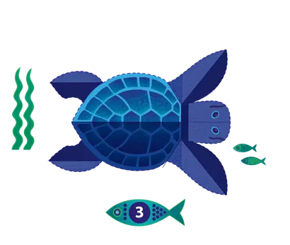 Prendiamoci cura delle tartarughe