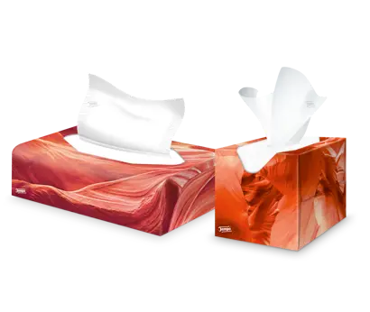 Home creation 8 of 12 pack zakdoeken 41x41 cm aanbieding bij ALDI € 5,99 Home creation 8 of 12 pack zakdoeken 41x41 cm aanbieding bij ALDI € 5,99