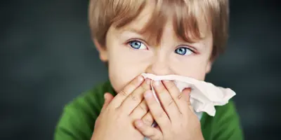 Huisstofmijt Allergie