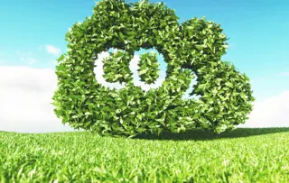 Minimierung des CO2-Fußabdrucks & des Wasserverbrauchs