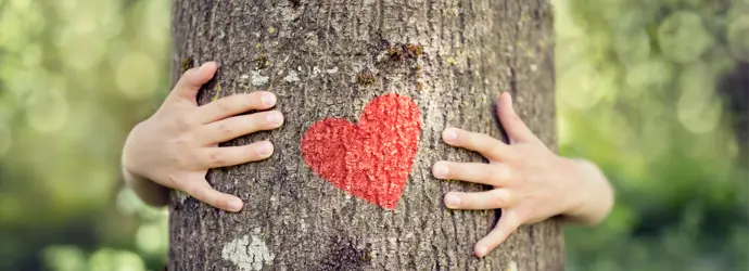 Primo piano di un tronco d'albero con un cuore rosso dipinto sopra, abbracciato da dietro da un bambino.