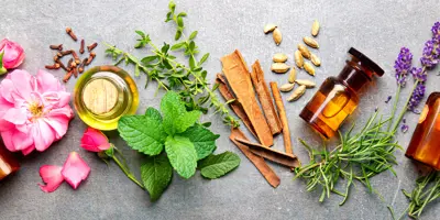 Auswahl ätherischer Öle zur Aromatherapie sowie der Kräuter aus denen sie gewonnen worden sind.