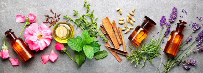 Auswahl ätherischer Öle zur Aromatherapie sowie der Kräuter aus denen sie gewonnen worden sind.