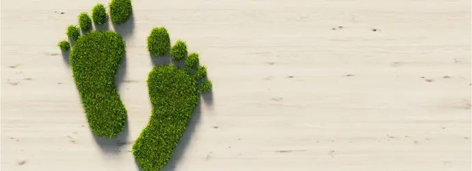 Cos’è l’impronta ecologica? Guida per ridurre l’impronta di carbonio