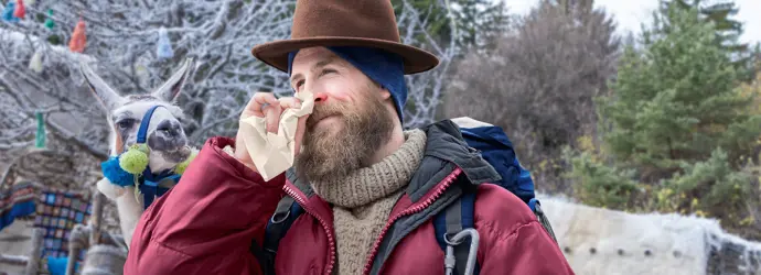 Tempo natural & soft Taschentücher – sanft zur Haut und naturnah