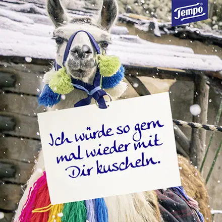 Ich würde so gern mal wieder mit Dir kuscheln.