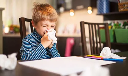Ein kleiner Junge sitzt an einem Tisch, ist umgeben von Taschentüchern und putzt sich die Nase