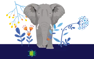 ELEFANTE DELLA SAVANA AFRICANA