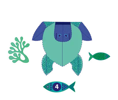 Prendiamoci cura delle tartarughe