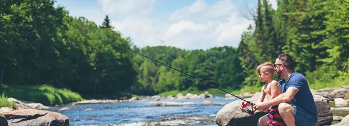 Ist feuchtes Toilettenpapier umweltschädlich?