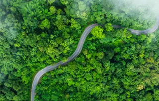 Una vista aerea di una strada tortuosa che taglia una fitta foresta verde, circondata dalla nebbia.