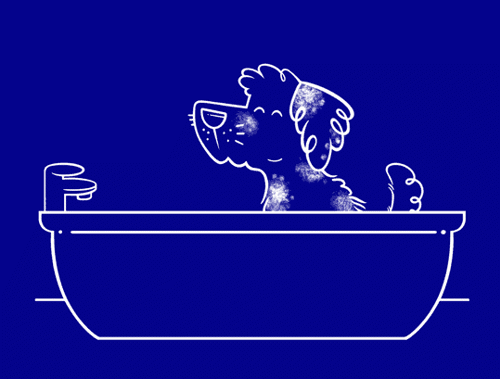 Doe je huisdier in bad