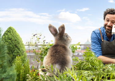 Tempo 3-in-1:​  samtig weich, waschmaschinenfest und biologisch abbaubar