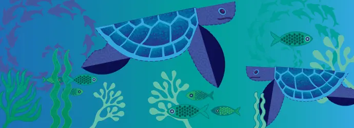 Prendiamoci cura delle tartarughe