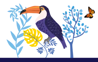 TUCANO GIGANTE (TUCANO TOCO)