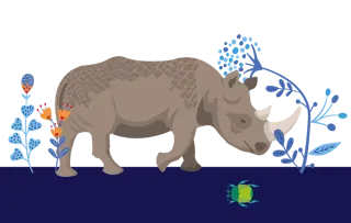 RINOCERONTE BIANCO SETTENTRIONALE