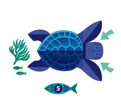 Prendiamoci cura delle tartarughe