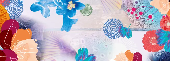 Entdecke unsere Tempo Box Designs