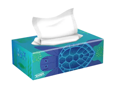 Prendiamoci cura delle tartarughe