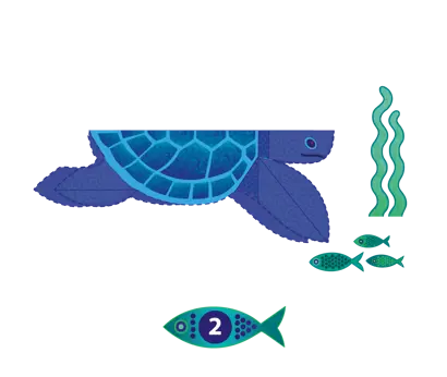 Prendiamoci cura delle tartarughe