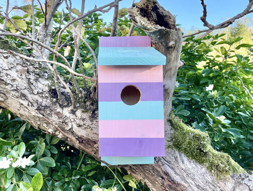 Casetta per uccelli dipinta appesa a un ramo tra foglie verdi all’aperto.